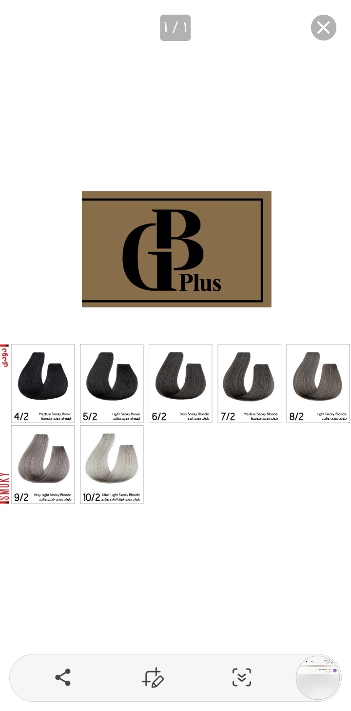 رنگ مو جی بی پلاس برند ایرانی حجم ۱۰۰ میل سری دودی